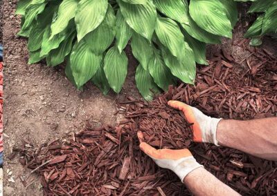 All American Landscaping Professional Mulch Installation Service